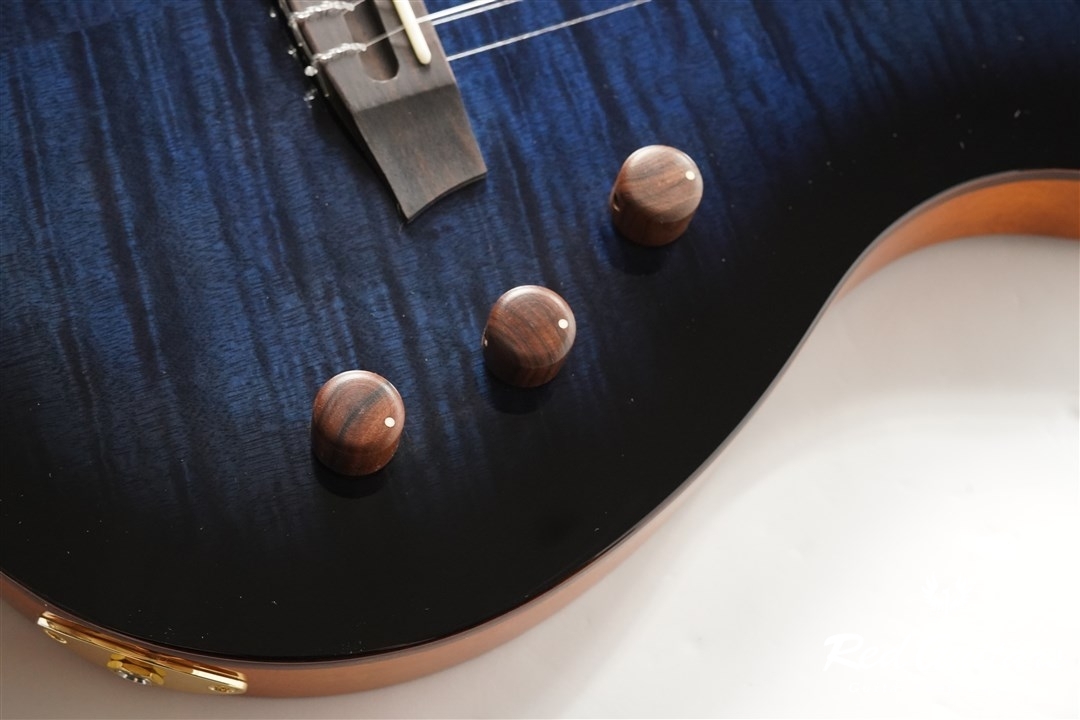 STAGE GUITAR LIMITED - BLUE BURST